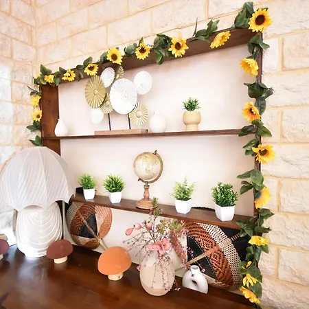 Grifone ليدو دي يسولو